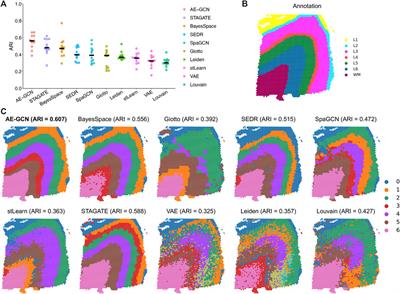 Deciphering tissue heterogeneity from spatially resolved transcriptomics by the autoencoder-assisted graph convolutional neural network